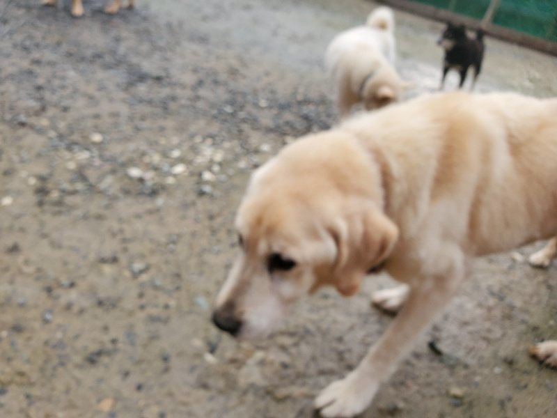f:id:roukenhome-ann:20191029185846j:plain f:id:roukenhome-ann:20191029185846j:plain