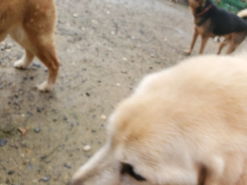 f:id:roukenhome-ann:20191029185859j:plain f:id:roukenhome-ann:20191029185859j:plain