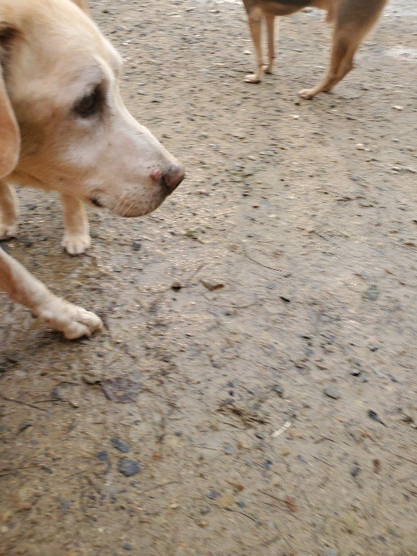 f:id:roukenhome-ann:20191029185934j:plain f:id:roukenhome-ann:20191029185934j:plain