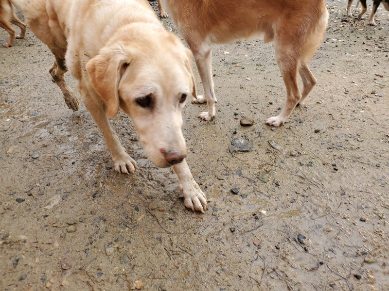 f:id:roukenhome-ann:20191029190009j:plain f:id:roukenhome-ann:20191029190009j:plain