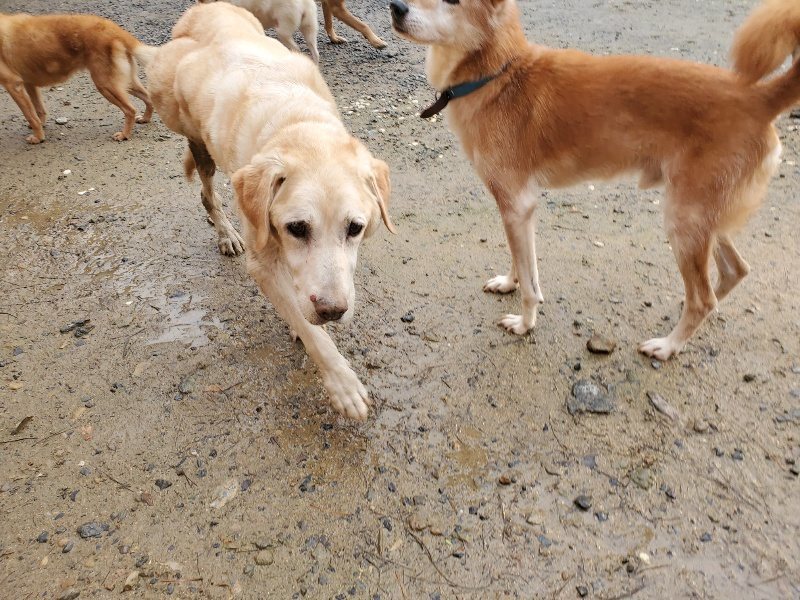 f:id:roukenhome-ann:20191029190019j:plain f:id:roukenhome-ann:20191029190019j:plain