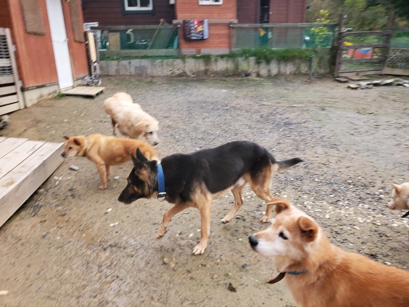 f:id:roukenhome-ann:20191029190043j:plain f:id:roukenhome-ann:20191029190043j:plain