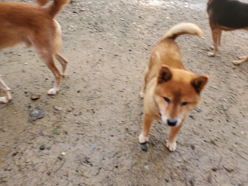 f:id:roukenhome-ann:20191029190051j:plain f:id:roukenhome-ann:20191029190051j:plain