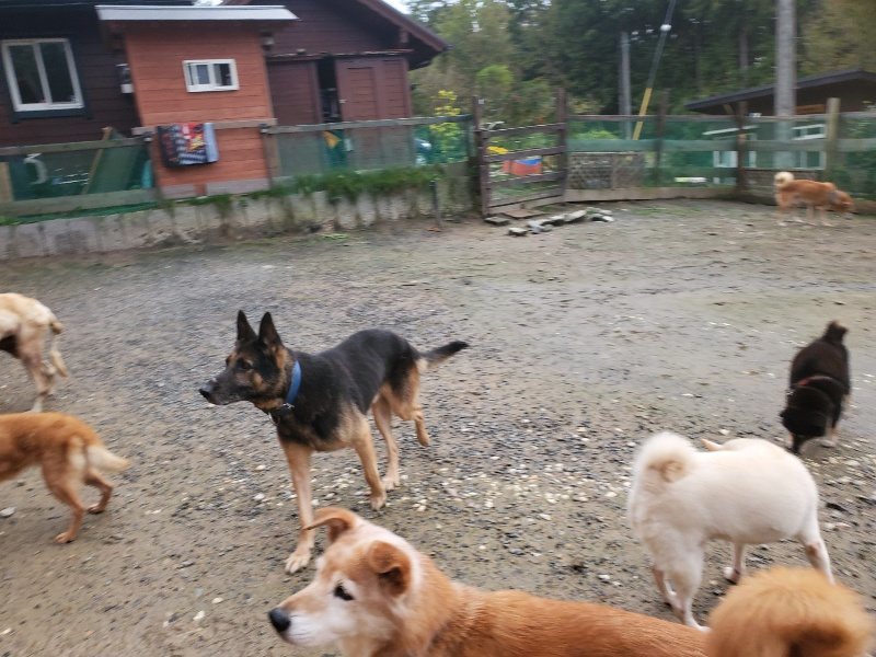 f:id:roukenhome-ann:20191029190119j:plain f:id:roukenhome-ann:20191029190119j:plain