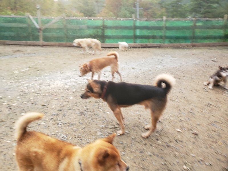 f:id:roukenhome-ann:20191029190131j:plain f:id:roukenhome-ann:20191029190131j:plain