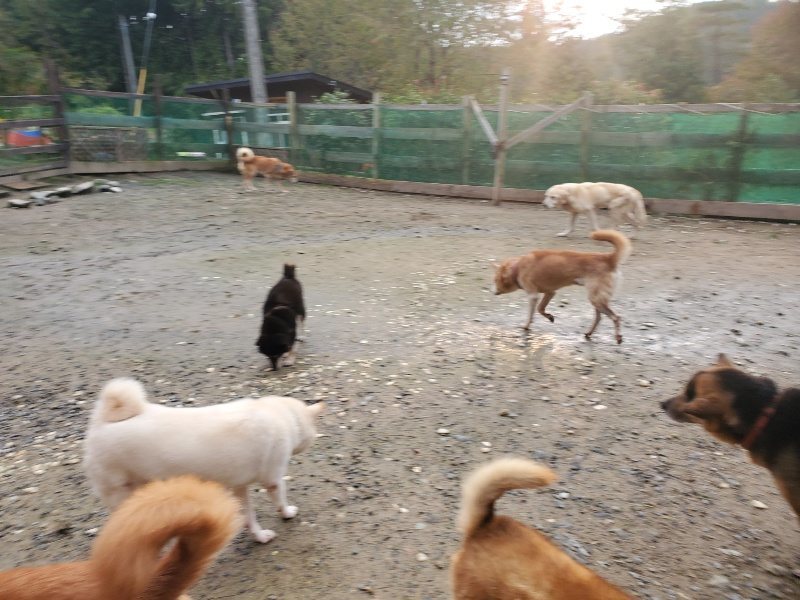 f:id:roukenhome-ann:20191029190144j:plain f:id:roukenhome-ann:20191029190144j:plain