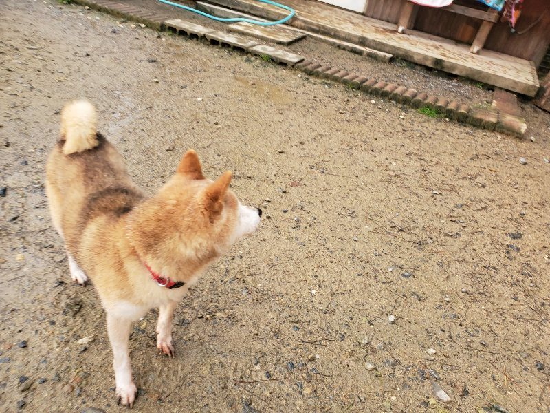 f:id:roukenhome-ann:20191029190219j:plain f:id:roukenhome-ann:20191029190219j:plain