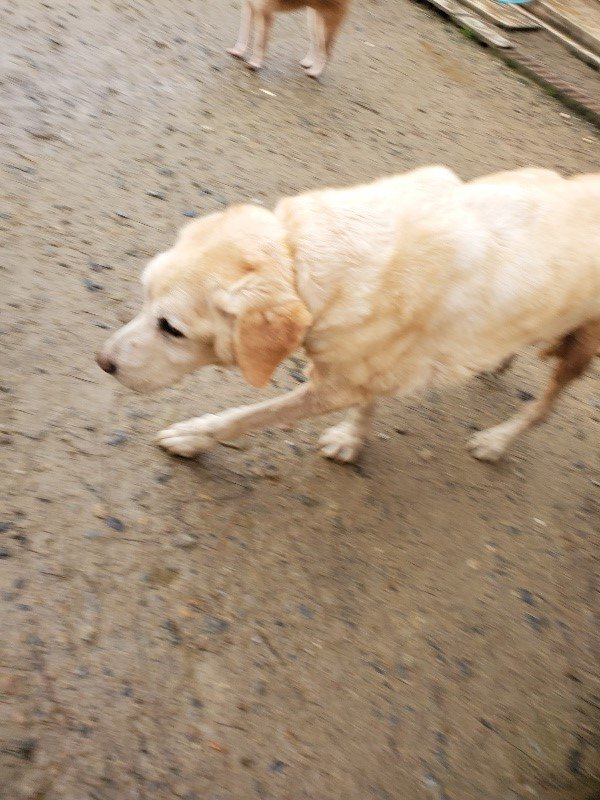 f:id:roukenhome-ann:20191029190325j:plain f:id:roukenhome-ann:20191029190325j:plain