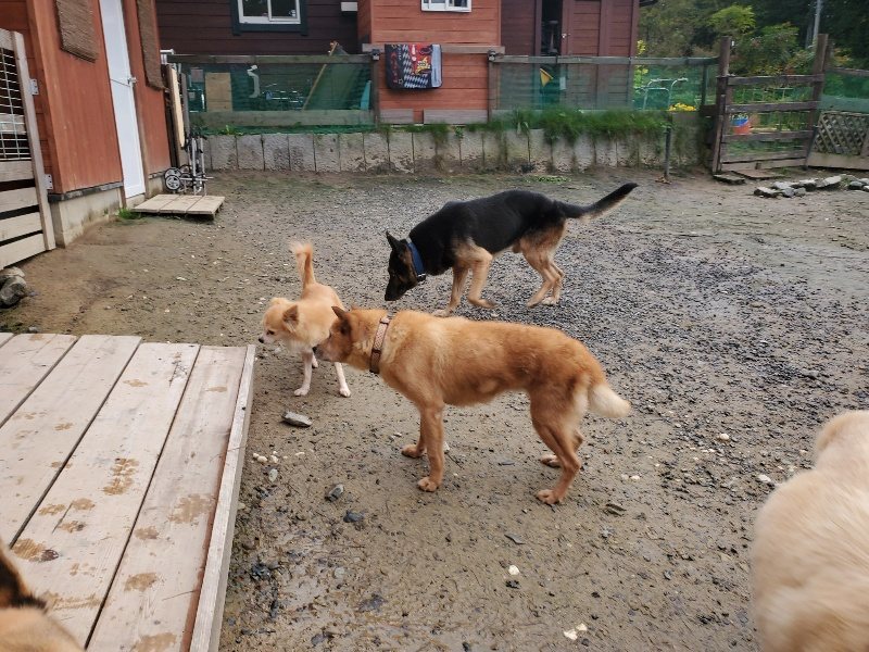f:id:roukenhome-ann:20191029190342j:plain f:id:roukenhome-ann:20191029190342j:plain