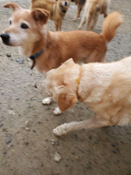 f:id:roukenhome-ann:20191029190353j:plain f:id:roukenhome-ann:20191029190353j:plain