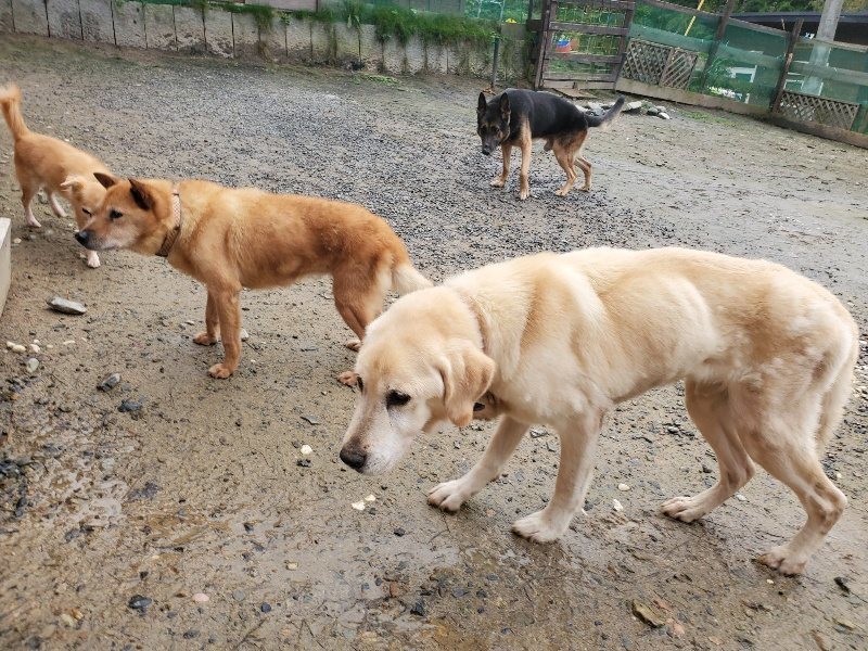 f:id:roukenhome-ann:20191029190416j:plain f:id:roukenhome-ann:20191029190416j:plain