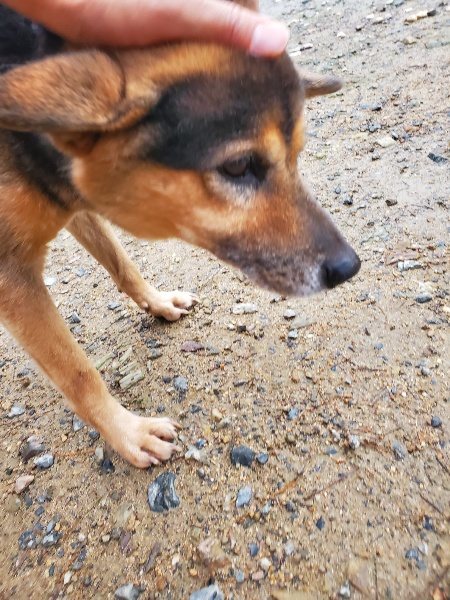 f:id:roukenhome-ann:20191029190829j:plain f:id:roukenhome-ann:20191029190829j:plain