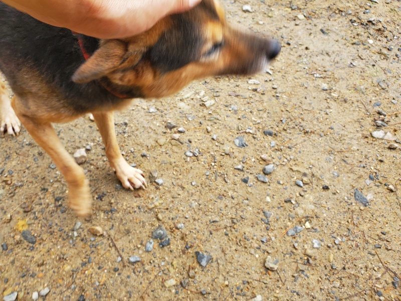 f:id:roukenhome-ann:20191029190850j:plain f:id:roukenhome-ann:20191029190850j:plain