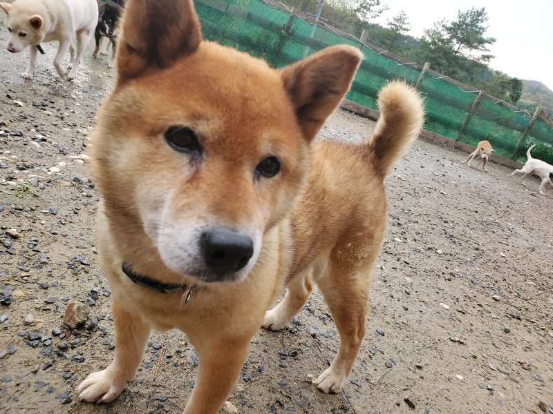 f:id:roukenhome-ann:20191029190953j:plain f:id:roukenhome-ann:20191029190953j:plain