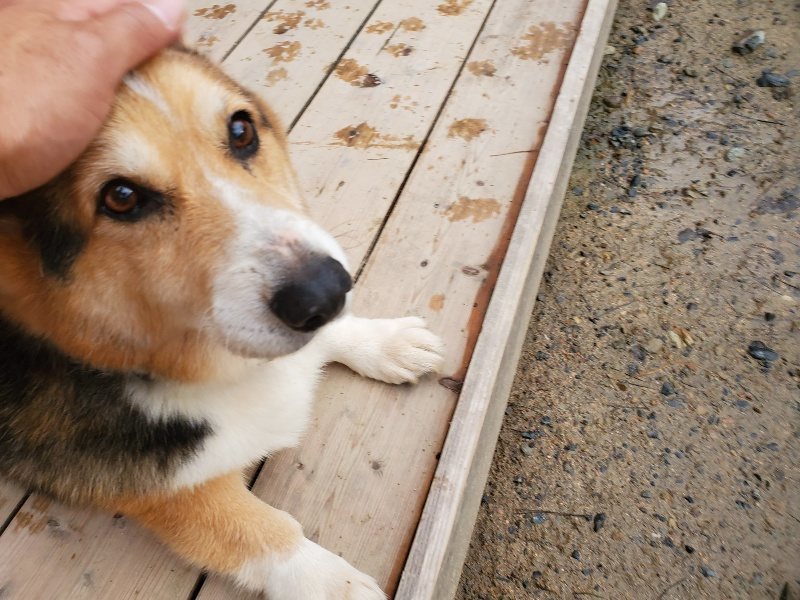 f:id:roukenhome-ann:20191029191122j:plain f:id:roukenhome-ann:20191029191122j:plain