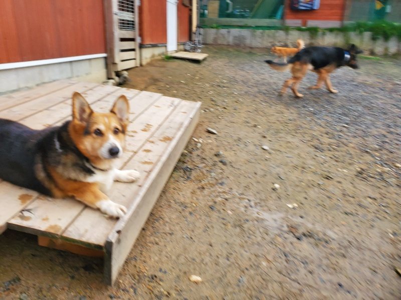 f:id:roukenhome-ann:20191029191133j:plain f:id:roukenhome-ann:20191029191133j:plain
