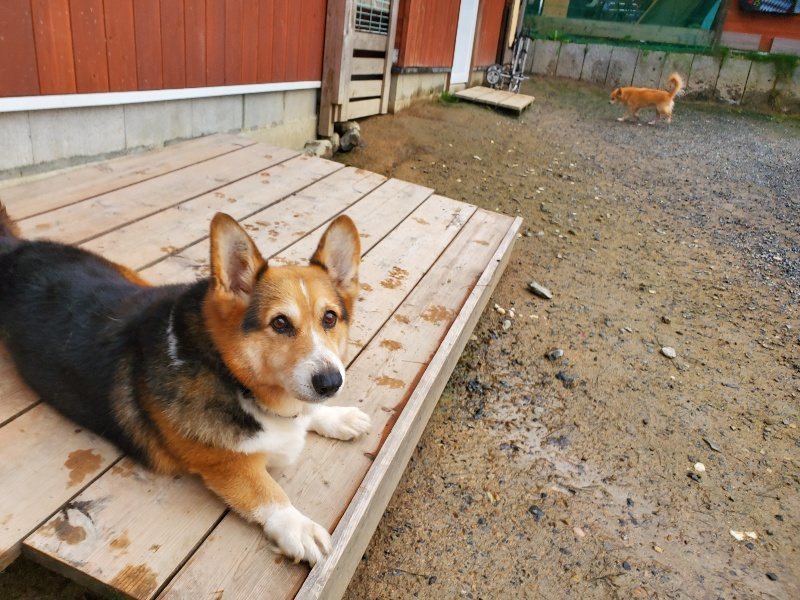 f:id:roukenhome-ann:20191029191149j:plain f:id:roukenhome-ann:20191029191149j:plain