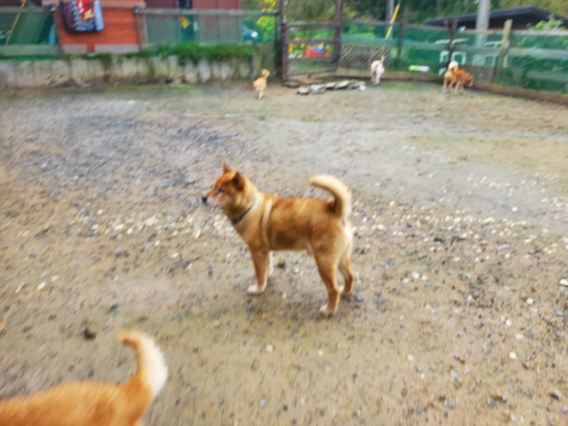 f:id:roukenhome-ann:20191029191300j:plain f:id:roukenhome-ann:20191029191300j:plain