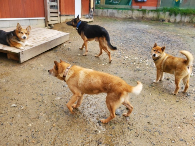 f:id:roukenhome-ann:20191029191311j:plain f:id:roukenhome-ann:20191029191311j:plain