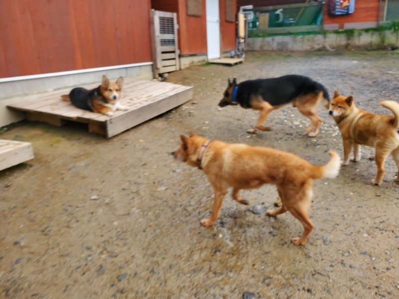 f:id:roukenhome-ann:20191029191335j:plain f:id:roukenhome-ann:20191029191335j:plain