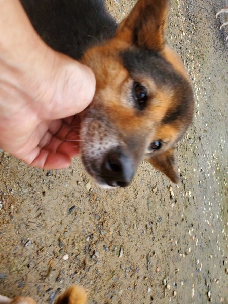 f:id:roukenhome-ann:20191029191419j:plain f:id:roukenhome-ann:20191029191419j:plain