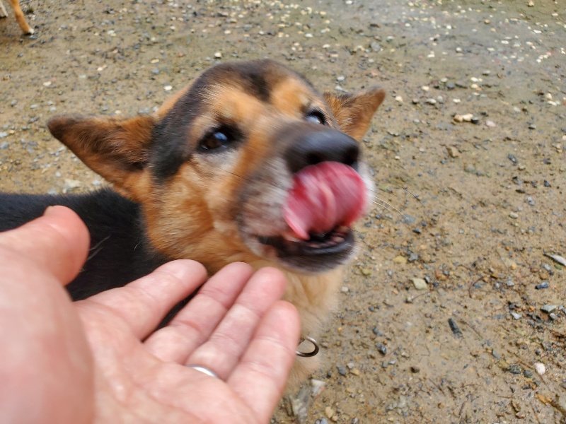 f:id:roukenhome-ann:20191029191435j:plain f:id:roukenhome-ann:20191029191435j:plain