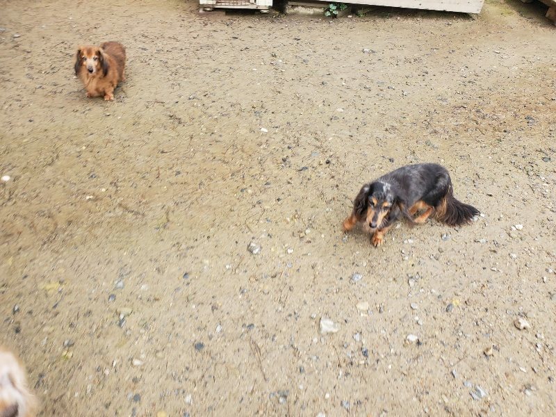 f:id:roukenhome-ann:20191029192206j:plain f:id:roukenhome-ann:20191029192206j:plain