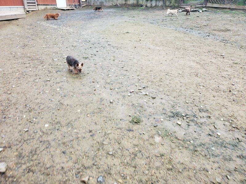 f:id:roukenhome-ann:20191029192222j:plain f:id:roukenhome-ann:20191029192222j:plain