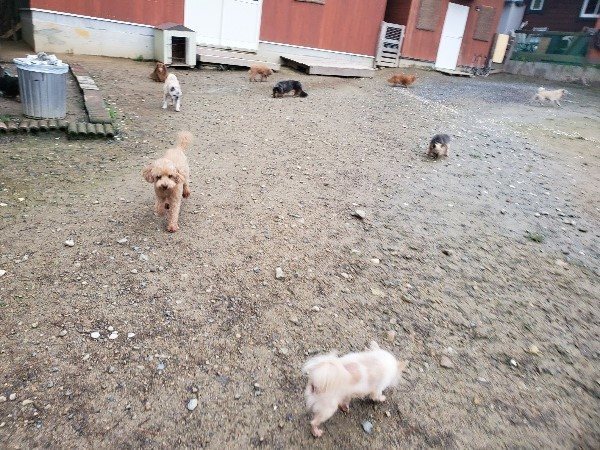 f:id:roukenhome-ann:20191029192232j:plain f:id:roukenhome-ann:20191029192232j:plain