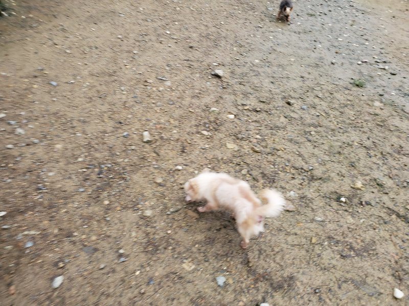 f:id:roukenhome-ann:20191029192245j:plain f:id:roukenhome-ann:20191029192245j:plain
