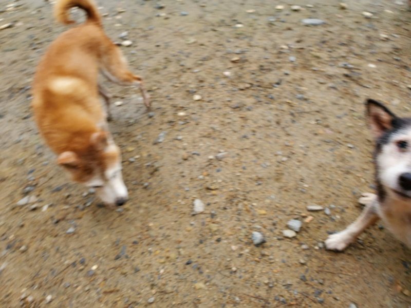f:id:roukenhome-ann:20191029192340j:plain f:id:roukenhome-ann:20191029192340j:plain
