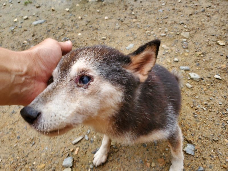 f:id:roukenhome-ann:20191029192423j:plain f:id:roukenhome-ann:20191029192423j:plain