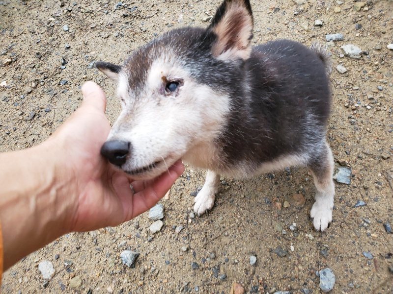 f:id:roukenhome-ann:20191029192451j:plain f:id:roukenhome-ann:20191029192451j:plain