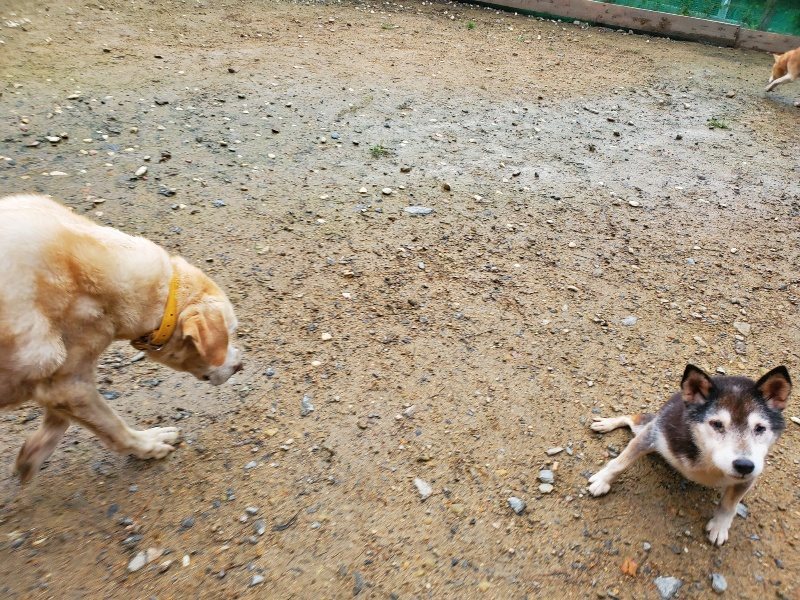 f:id:roukenhome-ann:20191029192511j:plain f:id:roukenhome-ann:20191029192511j:plain
