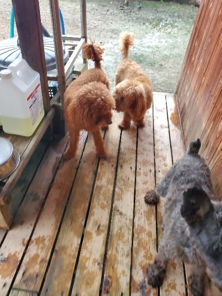 f:id:roukenhome-ann:20191029192531j:plain f:id:roukenhome-ann:20191029192531j:plain