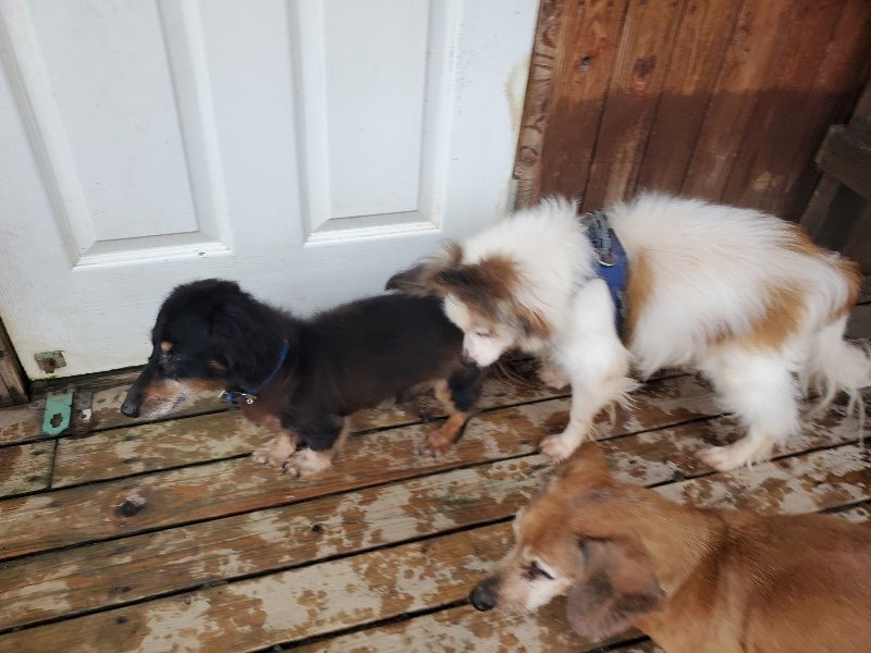 f:id:roukenhome-ann:20191029192540j:plain f:id:roukenhome-ann:20191029192540j:plain