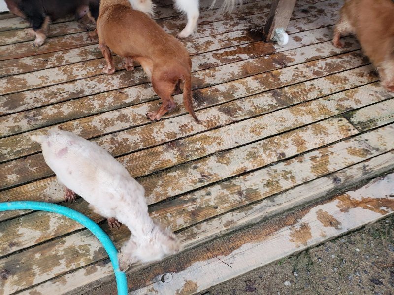 f:id:roukenhome-ann:20191029192603j:plain f:id:roukenhome-ann:20191029192603j:plain