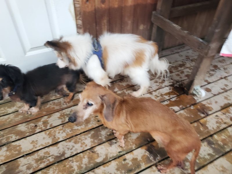 f:id:roukenhome-ann:20191029192613j:plain f:id:roukenhome-ann:20191029192613j:plain