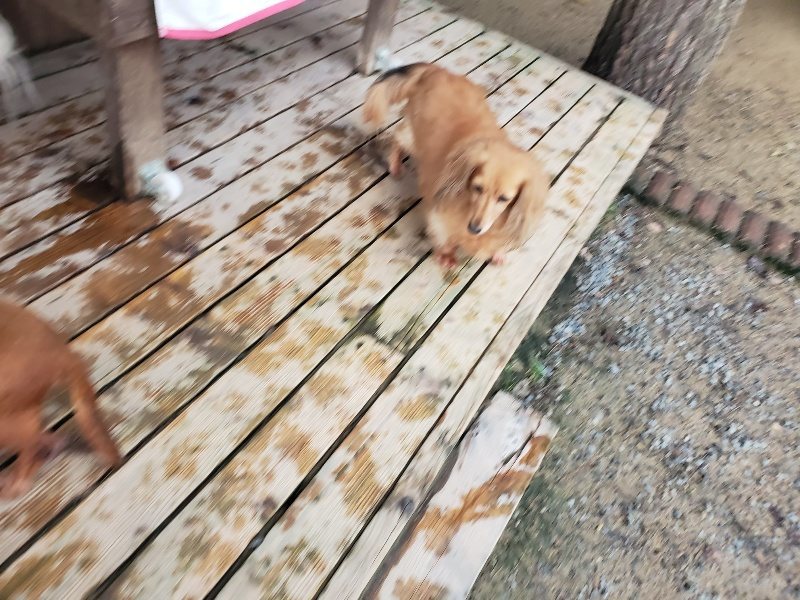 f:id:roukenhome-ann:20191029192630j:plain f:id:roukenhome-ann:20191029192630j:plain