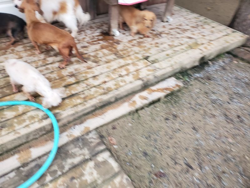 f:id:roukenhome-ann:20191029192639j:plain f:id:roukenhome-ann:20191029192639j:plain