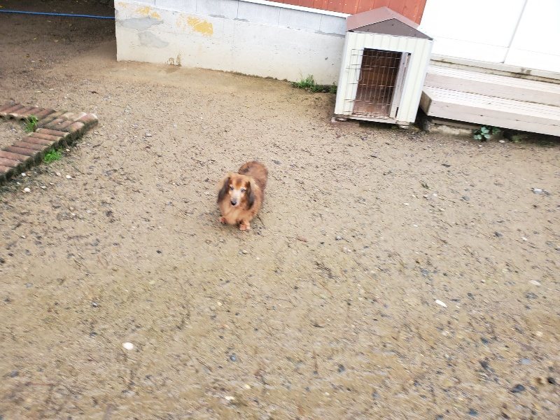 f:id:roukenhome-ann:20191029192654j:plain f:id:roukenhome-ann:20191029192654j:plain