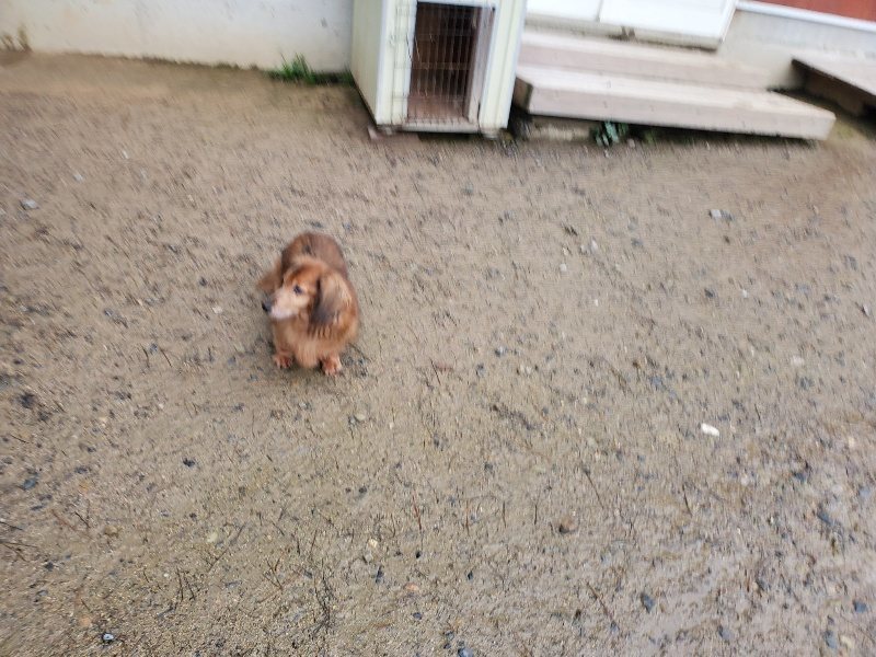 f:id:roukenhome-ann:20191029192703j:plain f:id:roukenhome-ann:20191029192703j:plain