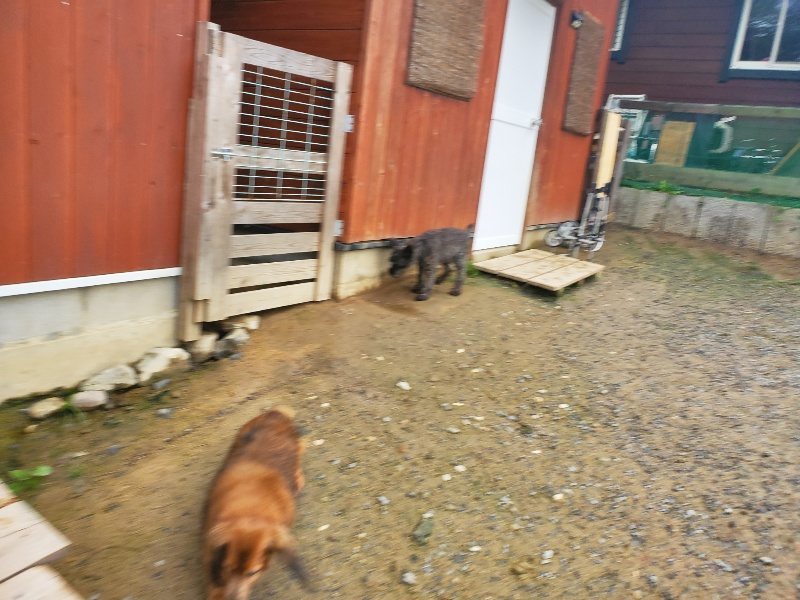 f:id:roukenhome-ann:20191029193259j:plain f:id:roukenhome-ann:20191029193259j:plain
