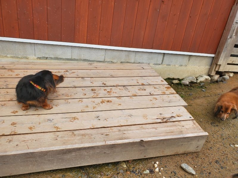 f:id:roukenhome-ann:20191029193314j:plain f:id:roukenhome-ann:20191029193314j:plain
