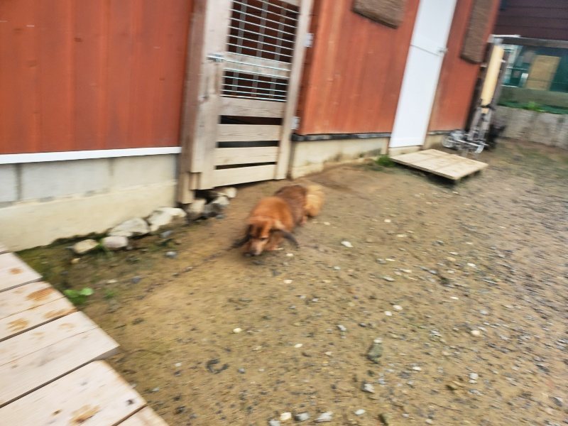 f:id:roukenhome-ann:20191029193323j:plain f:id:roukenhome-ann:20191029193323j:plain