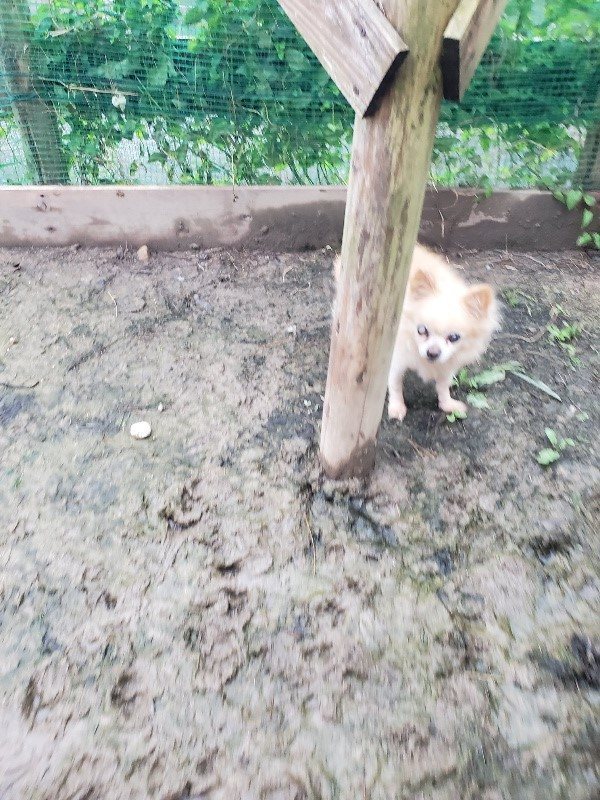 f:id:roukenhome-ann:20191029193336j:plain f:id:roukenhome-ann:20191029193336j:plain