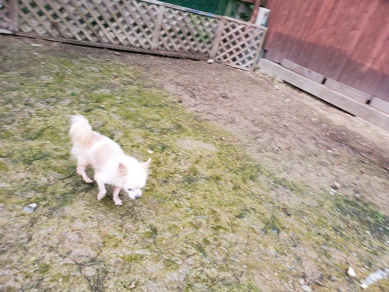 f:id:roukenhome-ann:20191029193346j:plain f:id:roukenhome-ann:20191029193346j:plain