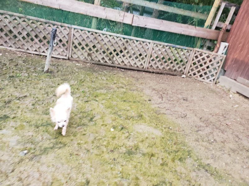 f:id:roukenhome-ann:20191029193401j:plain f:id:roukenhome-ann:20191029193401j:plain