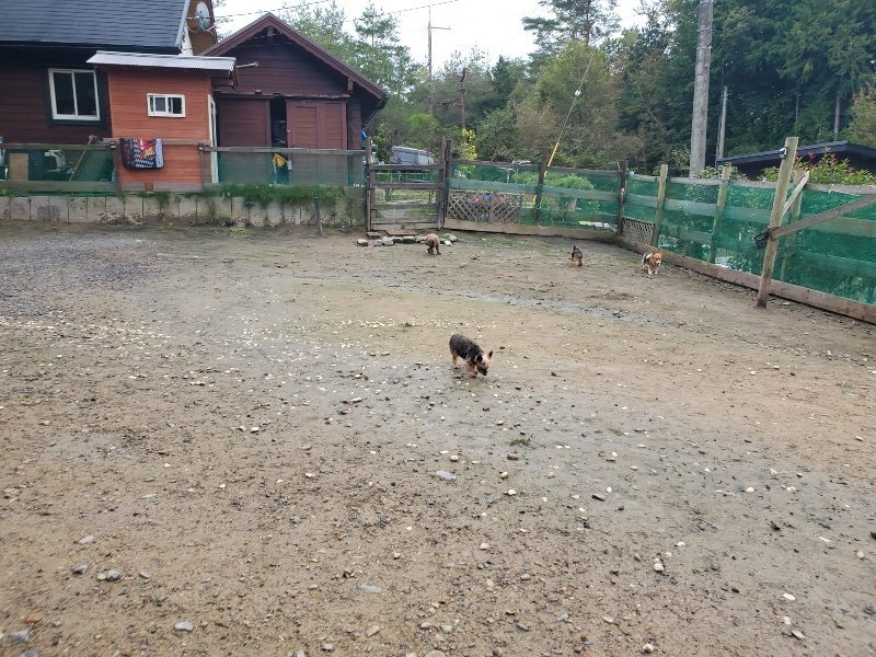 f:id:roukenhome-ann:20191029193413j:plain f:id:roukenhome-ann:20191029193413j:plain