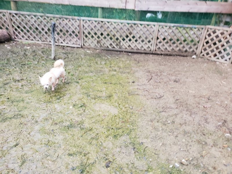 f:id:roukenhome-ann:20191029193429j:plain f:id:roukenhome-ann:20191029193429j:plain